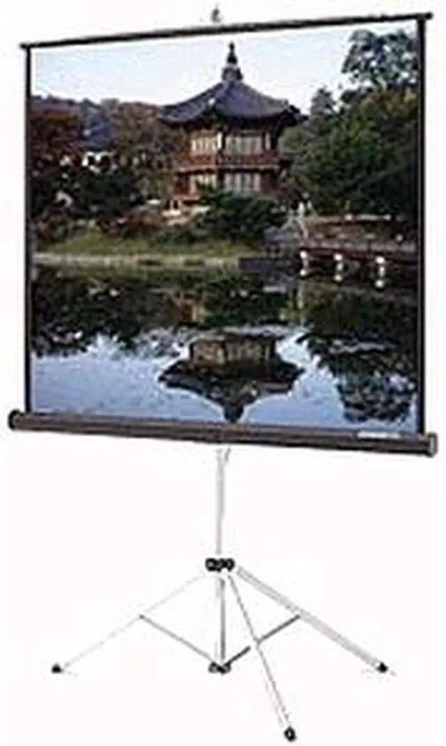 Main image of Da-Lite Picture King Portable and Tripod Projection Screen