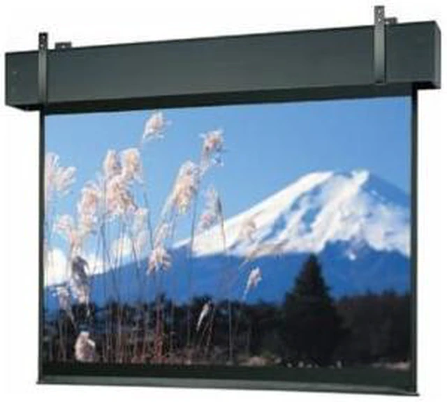 Da-Lite Professional Electrol Projection Screen - Newegg.com