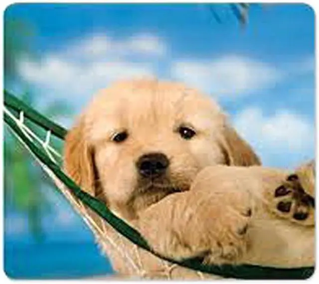 Main image of Fellowes 5913901 Recycled Optical Puppy in Hammock Mouse Pad