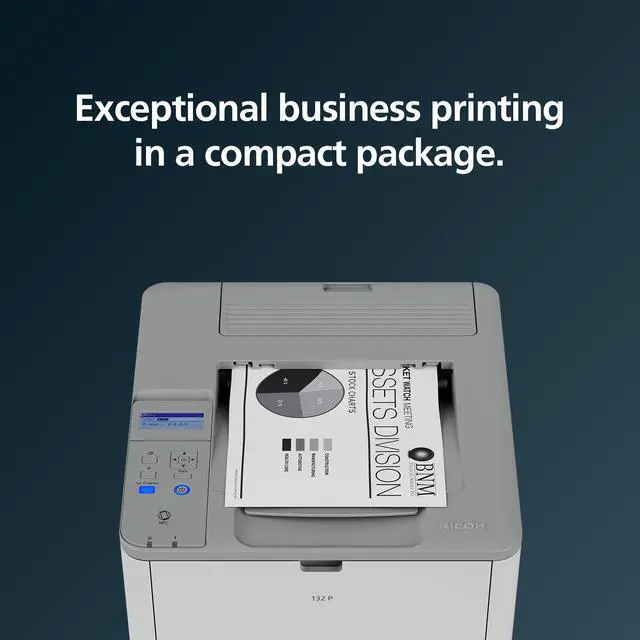 Alt view image 7 of 13 - RICOH 132 P Black and White Laser Printer