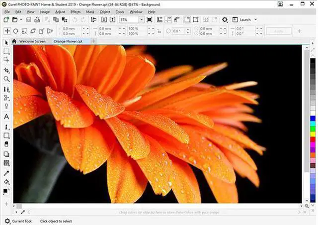 Alt view image 3 of 8 - CorelDRAW Home & Student Suite 2019 for Windows