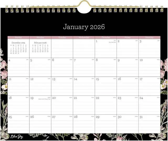 Main image of 2026 Blue Sky Monthly Wall Calendar, 11" x 8-3/4", Nevaeh, January To December, 139941