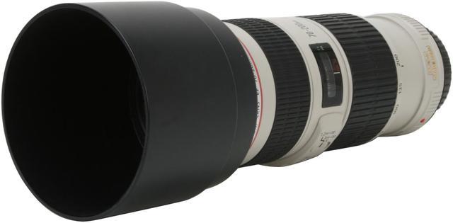 Canon EF 70-200mm f/4L IS USM Telephoto Zoom Lens - Newegg.com