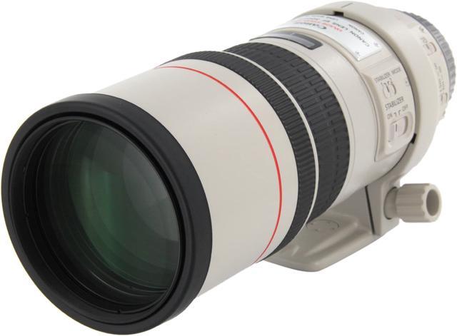 Canon EF 300mm f/4L IS USM Telephoto Lens