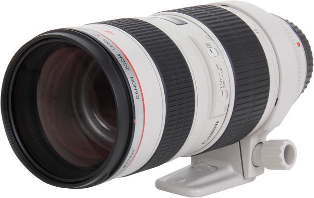 Canon EF 70-200mm f/2.8L USM Telephoto Zoom Lens - Newegg.com