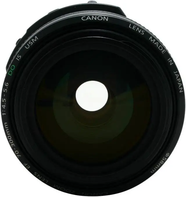 Alt view image 3 of 11 - Canon EF 70-300mm f/4.5-5.6 DO IS USM Telephoto Zoom Lens