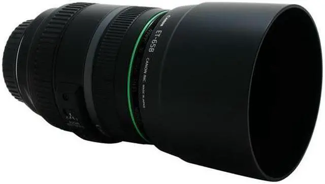 Alt view image 8 of 11 - Canon EF 70-300mm f/4.5-5.6 DO IS USM Telephoto Zoom Lens