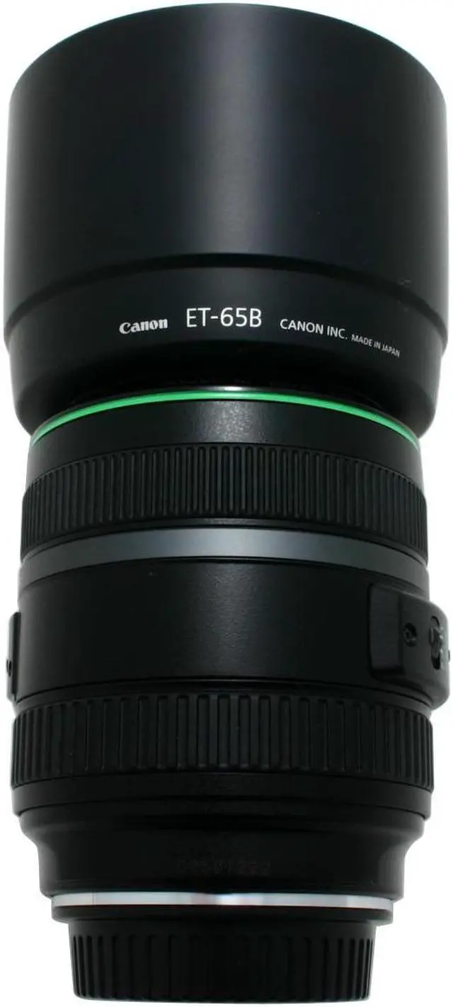Alt view image 9 of 11 - Canon EF 70-300mm f/4.5-5.6 DO IS USM Telephoto Zoom Lens