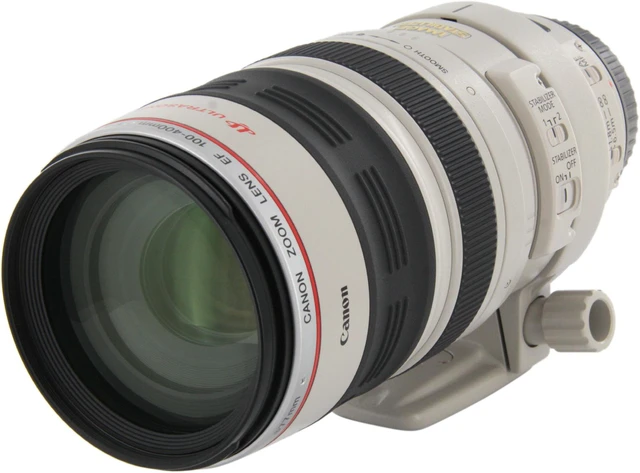 Canon EF 100-400mm f/4.5-5.6L IS USM Telephoto Zoom Lens - Newegg.com