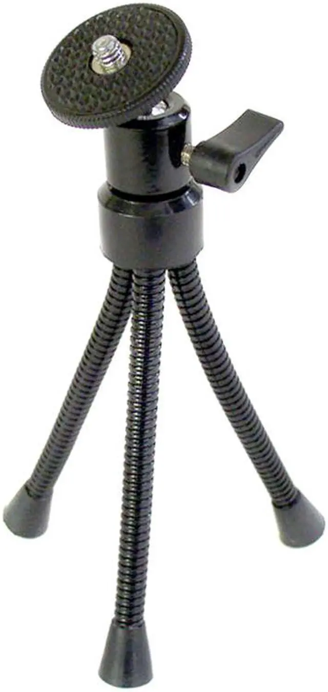 Main image of 