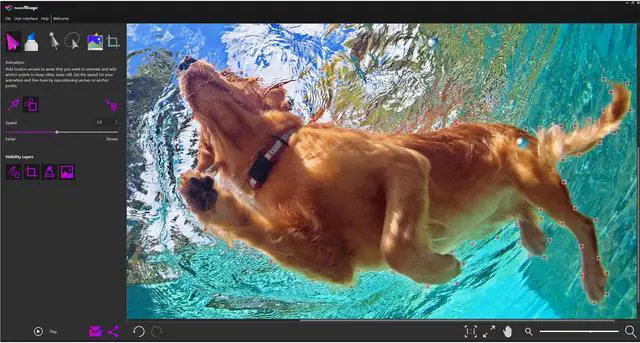 Alt view image 7 of 7 - PhotoMirage - PC Download