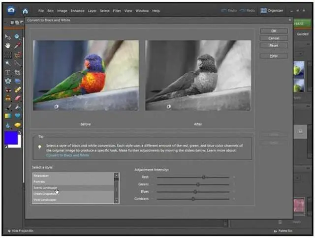 Alt view image 8 of 11 - Adobe Photoshop Elements 7 - Mini Box