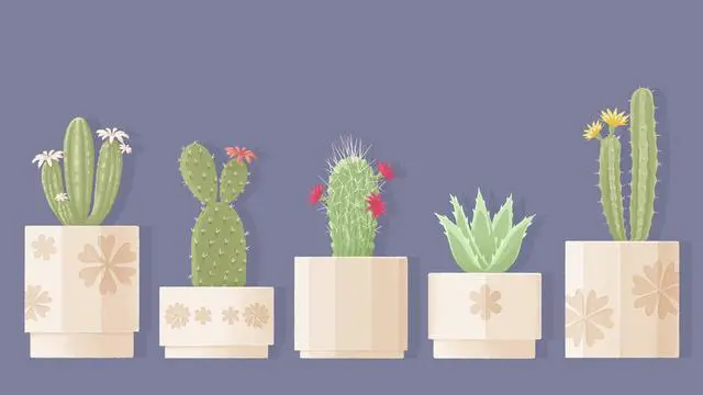 Alt view image 5 of 12 - A Little to the Left: Seeing Stars - PC [Steam Online Game Code]