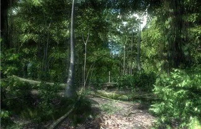 Alt view image 8 of 17 - Crysis PC Game