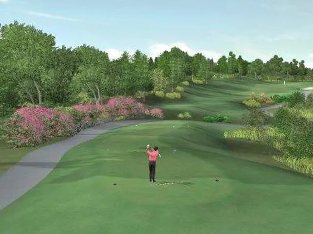 Alt view image 7 of 13 - Tiger Woods PGA Tour 2007 PC Game