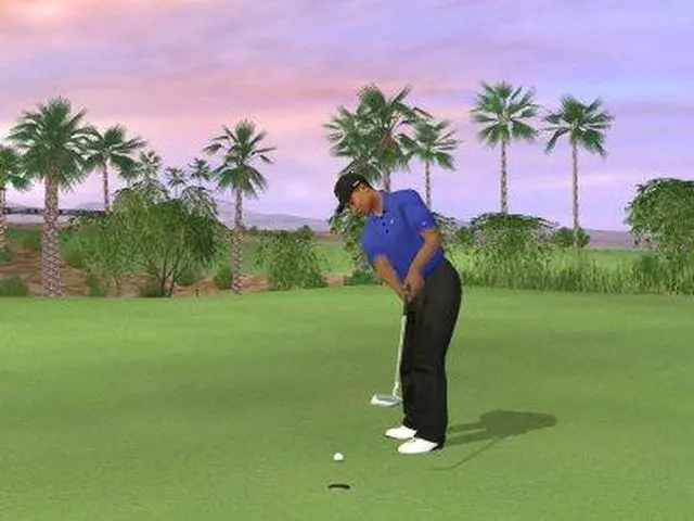 Alt view image 13 of 13 - Tiger Woods PGA Tour 2007 PC Game