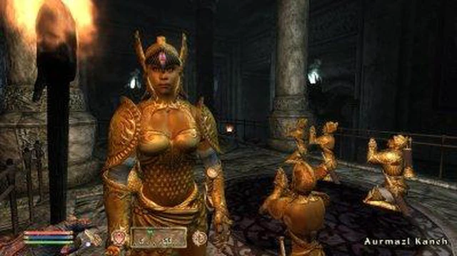 The Elder Scrolls IV: Shivering Isles PC Game - Newegg.com