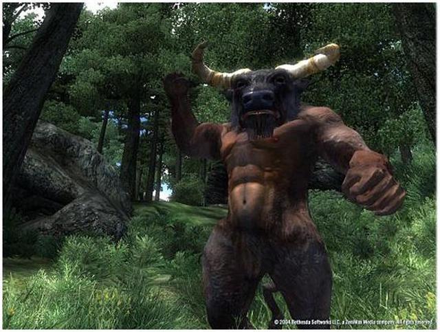 Alt view image 2 of 6 - The Elder Scrolls IV: Oblivion Game of the Year Edition PC Game