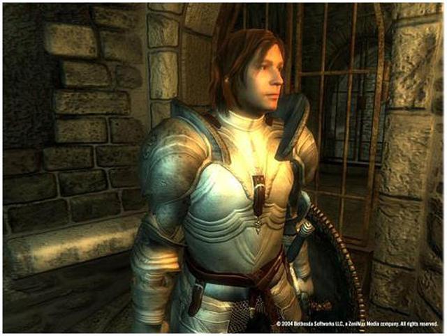 Alt view image 5 of 6 - The Elder Scrolls IV: Oblivion Game of the Year Edition PC Game