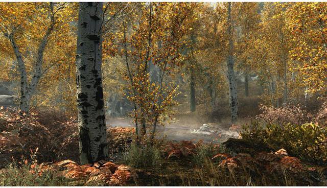 Alt view image 5 of 11 - The Elder Scrolls V Skyrim: Special Edition [Online Game Code]