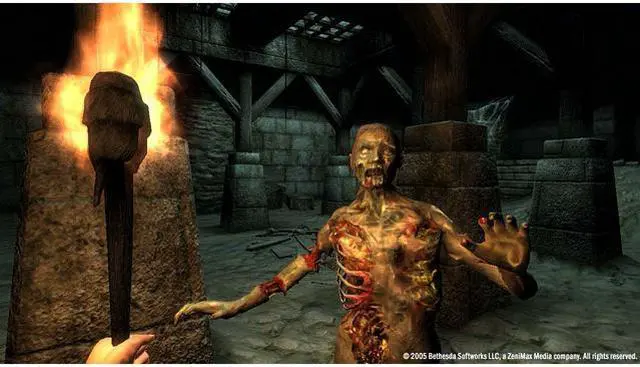 Alt view image 4 of 7 - The Elder Scrolls IV: Oblivion Game of the Year Edition [Online Game Code]