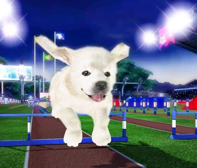 Alt view image 5 of 11 - Petz Sports PC Game