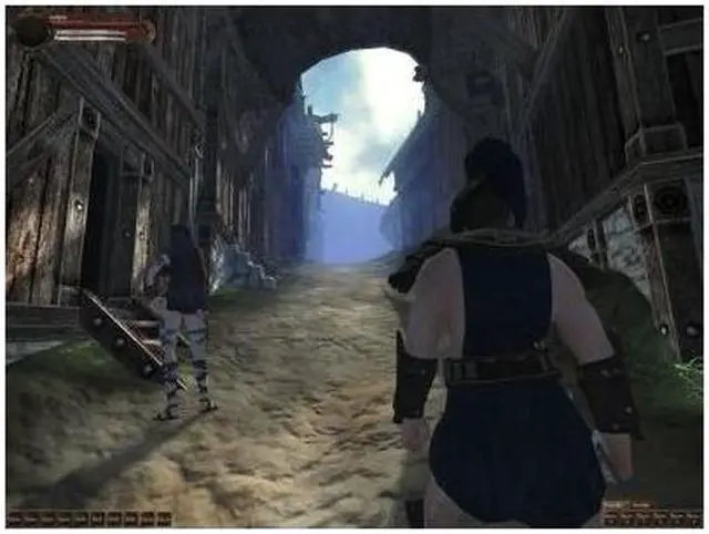 Alt view image 4 of 19 - Age of Conan: Hyborian Adventures PC Game