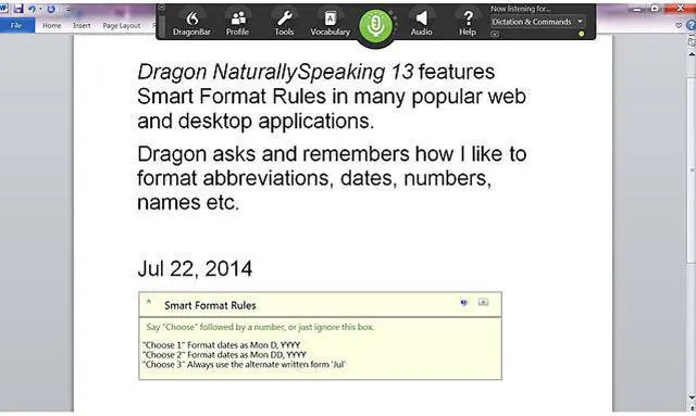 Alt view image 3 of 7 - Dragon Naturally Speaking Premium 13