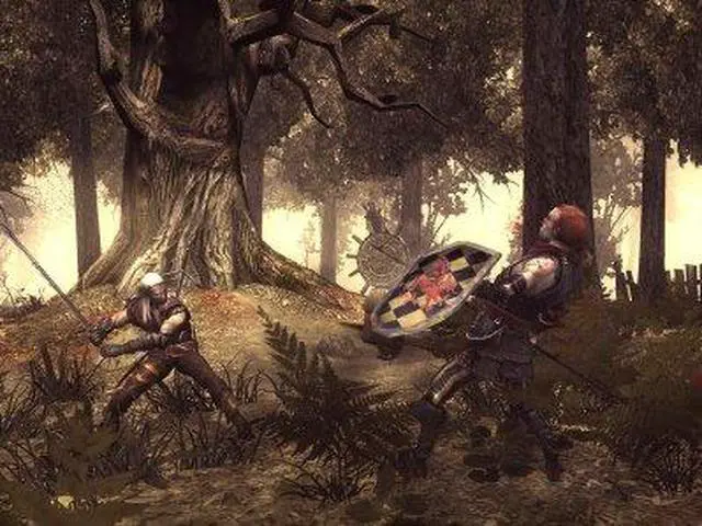 Alt view image 19 of 20 - Witcher (Import) PC Game