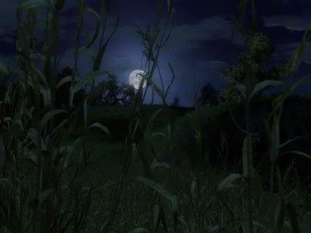 Alt view image 8 of 17 - The Witcher PC Game