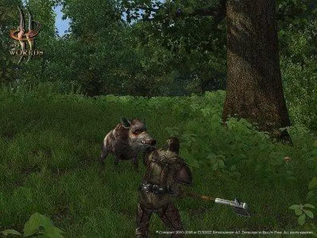 Alt view image 18 of 19 - Two Worlds PC Game