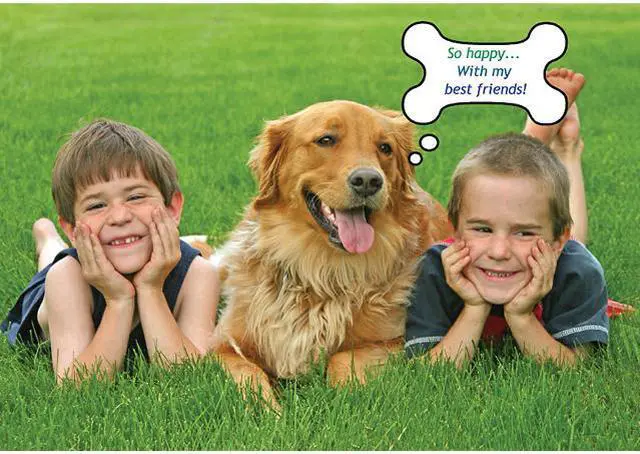 Alt view image 4 of 20 - Individual Software PhotoStudio Expressions Platinum 6