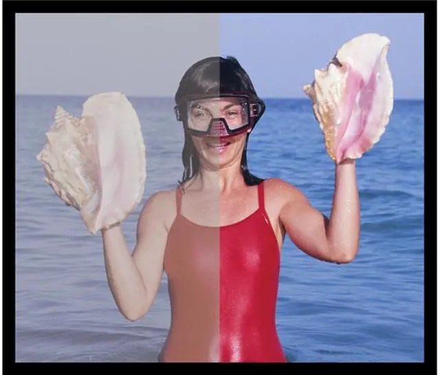 Alt view image 8 of 20 - Individual Software PhotoStudio Expressions Platinum 6