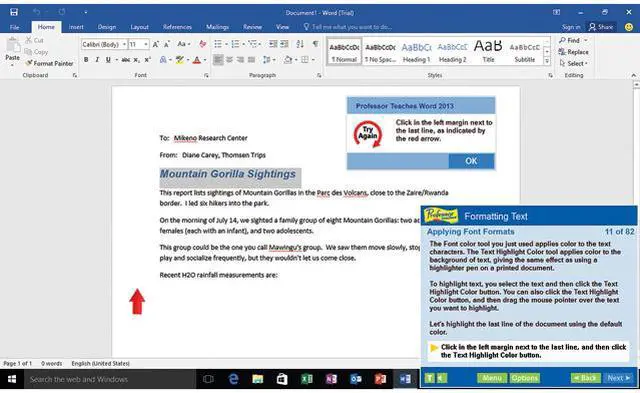 Alt view image 4 of 6 - Individual Software Professor Teaches Online Library Tutorial Set
