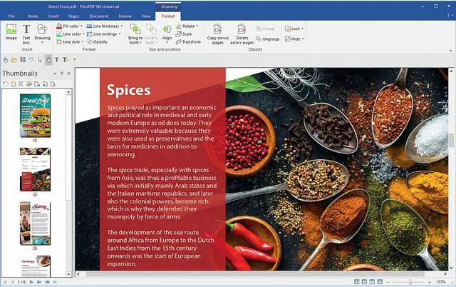 Alt view image 4 of 6 - FlexiPDF Professional 2022 for Windows - Download