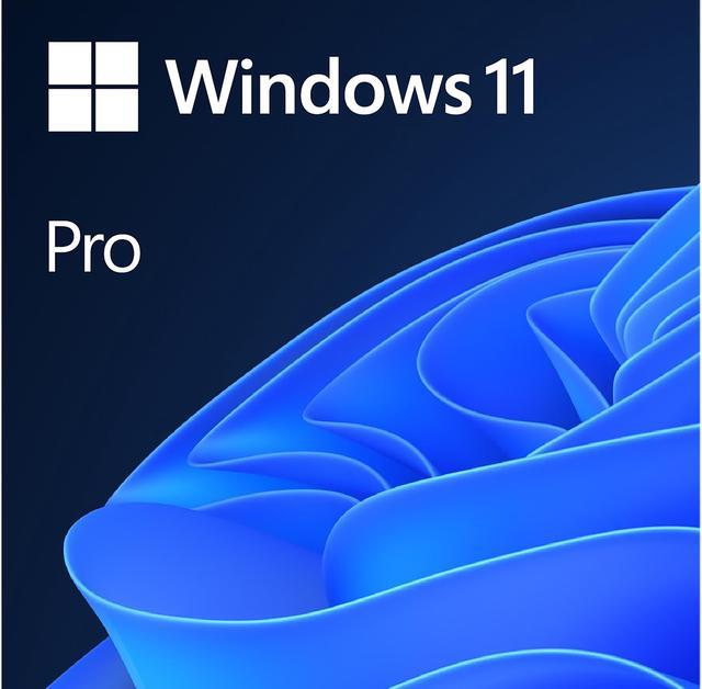 Microsoft Windows 11 Pro 64-bit, DVD 