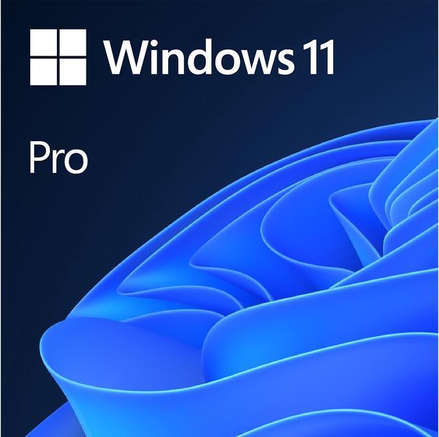 Microsoft Windows 11 Pro Digital Download