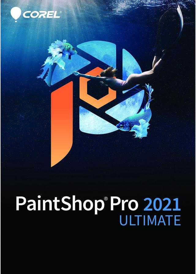 How To Make A Meme in PaintShop Pro