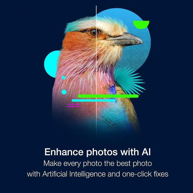 Alt view image 3 of 10 - PaintShop Pro 2023 Ultimate - Download