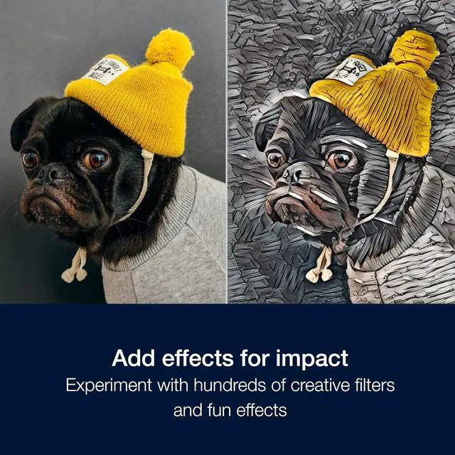 Alt view image 6 of 10 - PaintShop Pro 2023 Ultimate - Download