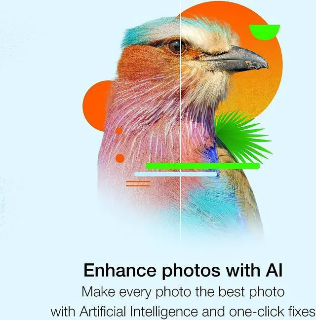 Alt view image 6 of 10 - PaintShop Pro 2023 - Download