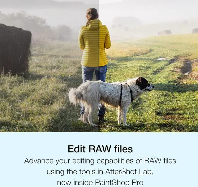 Alt view image 8 of 10 - PaintShop Pro 2023 - Download