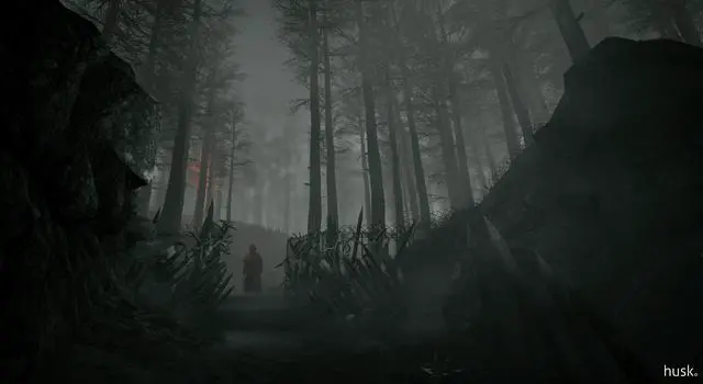 Alt view image 9 of 10 - Husk - PC [Steam Online Game Code]