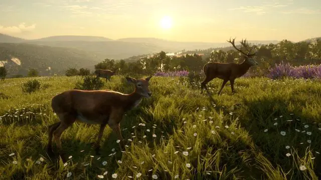 Alt view image 6 of 7 - theHunter: Call of the Wild™ - Cuatro Colinas Game Reserve - PC [Steam Online Game Code]