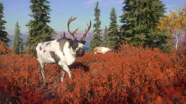 Alt view image 8 of 8 - theHunter: Call of the Wild™ - Yukon Valley - PC [Steam Online Game Code]