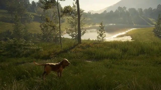 Alt view image 10 of 10 - theHunter: Call of the Wild™ - Bloodhound - PC [Steam Online Game Code]