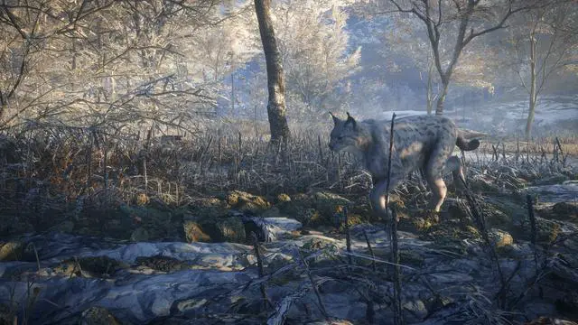 Alt view image 3 of 6 - theHunter: Call of the Wild™ - Medved-Taiga - PC [Online Game Code]