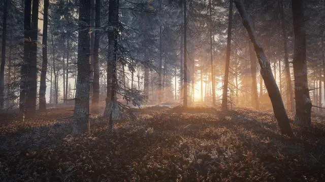 Alt view image 5 of 6 - theHunter: Call of the Wild™ - Medved-Taiga - PC [Online Game Code]