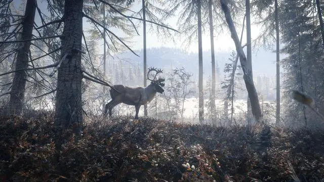 Alt view image 6 of 6 - theHunter: Call of the Wild™ - Medved-Taiga - PC [Online Game Code]