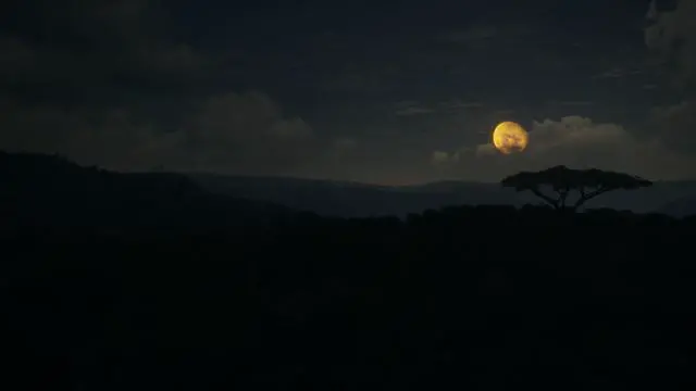 Alt view image 10 of 13 - theHunter: Call of the Wild™ - Vurhonga Savanna - PC [Steam Online Game Code]